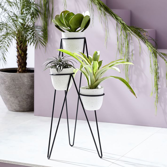 West Elm Iris Planter